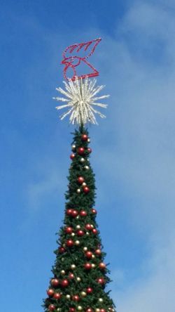 Gallo, a local brewery, sponsored the Christmas tree next to the church in the center of town here. Their rooster surmounts the Star of Bethlehem.