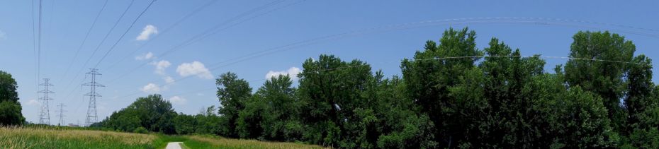 A bike trail along central Iowa's landscape.